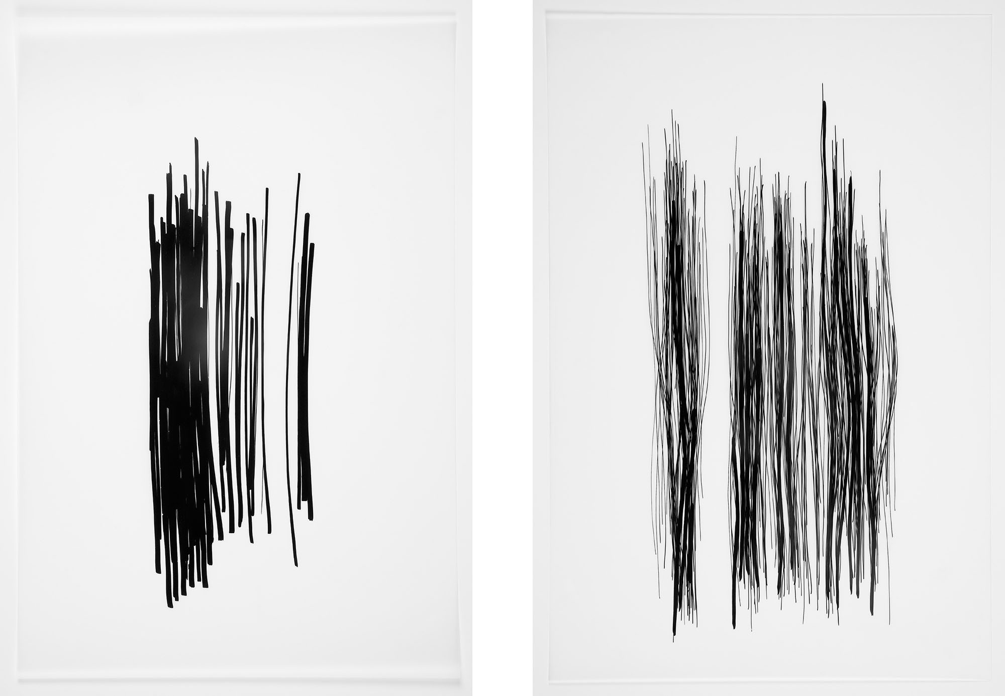 nature-studies-ink-drawing-art-tuschezeichnung-markusjbecker-1