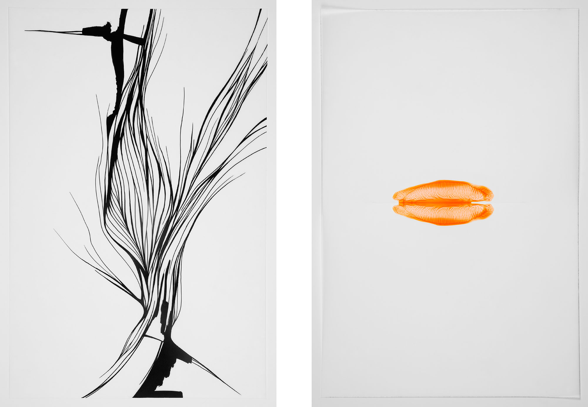 nature-studies-ink-drawing-art-tuschezeichnung-markusjbecker-4