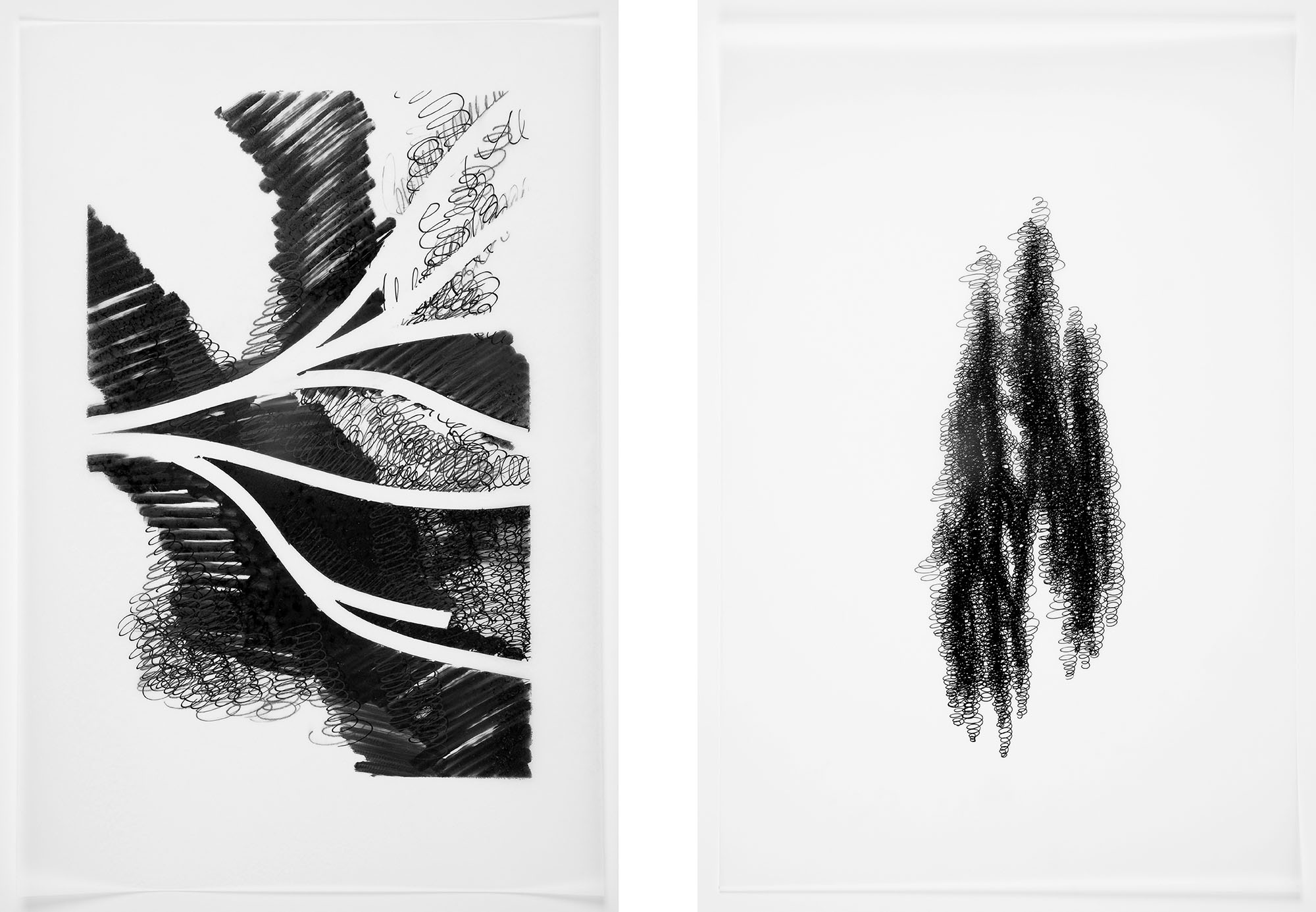 nature-studies-ink-drawing-art-tuschezeichnung-markusjbecker-5