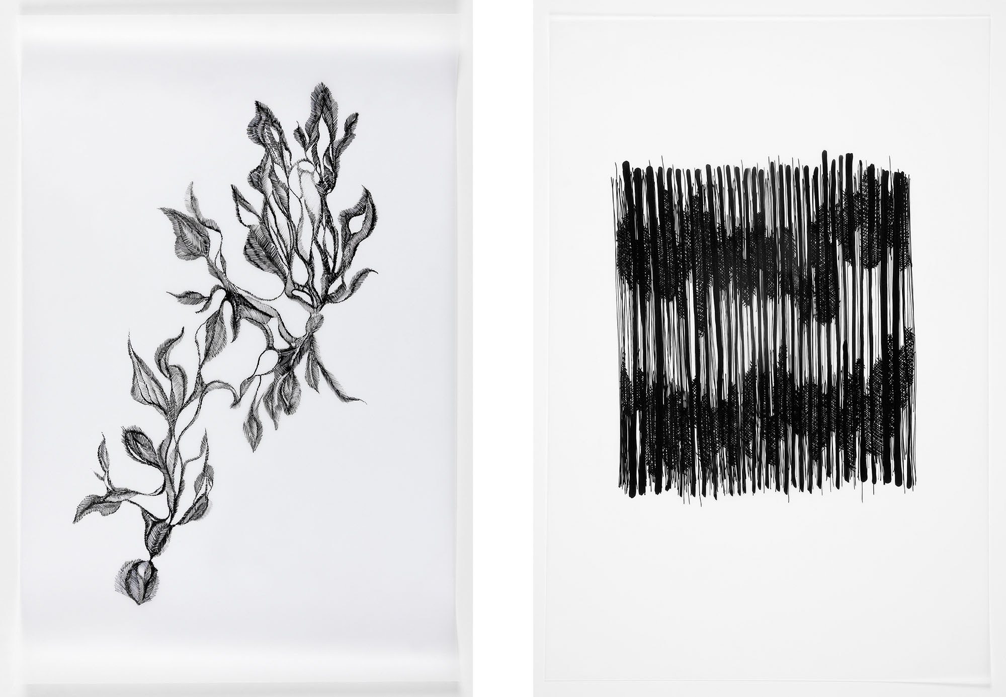 nature-studies-ink-drawing-art-tuschezeichnung-markusjbecker-6